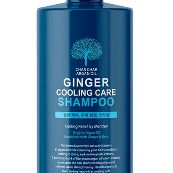 Зміцнюючий шампунь з аргановою олією та охолоджуючим ефектом Char Char Argan Oil Ginger Cooling Care Shampoo 1000 мл
