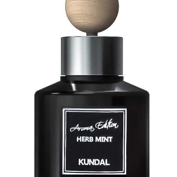 Аромадифузор для машини М'ята і Трави Kundal Perfume Car Diffuser Aurora Edition Herb Mint 75 мл